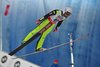 Vincent Descombes Savoie (Francja)