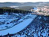 widoczek