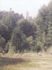 Zeskok skoczni w Kielcach
