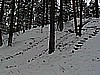 Nachylenie progu: 0 stopni, Wysokość progu: 1m