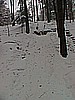 Rekord: 10m (Bartek G.)