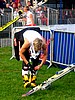 Daniel Forfang (Norwegia) zdejmuje ekwipunek, w tle Veli-Matti Lindstroem (Finlandia)