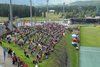 Kibice