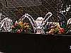 trofeum z Planicy