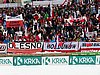 polscy kibice