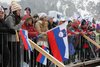 Kibice
