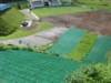 zeskoki skoczni K20, K35, K62 w Predazzo (Włochy)