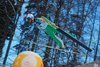 DSC_1389.jpg