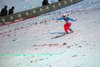 DSC_1494.jpg