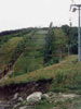 Harrachov (Czechy)