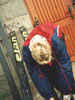 Adam Małysz (Polska) w blond fryzurze