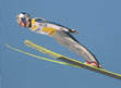 PŚ Vikersund 2009