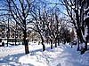 ulice Zakopanego