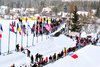 Kibice
