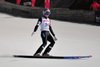Anders Fannemel (Norwegia)