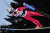 Anders Fannemel (Norwegia)